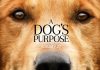 “A dog’s purpose”