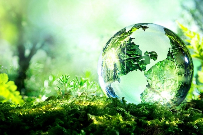 Alina Stan: Implementarea sustenabilității o necesitate sau o opțiune?